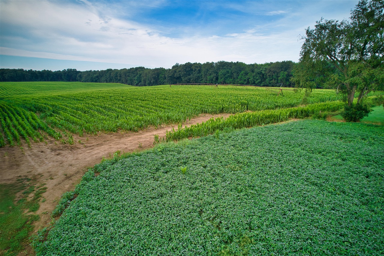 0 Lake Street, Niles, MI, 49120