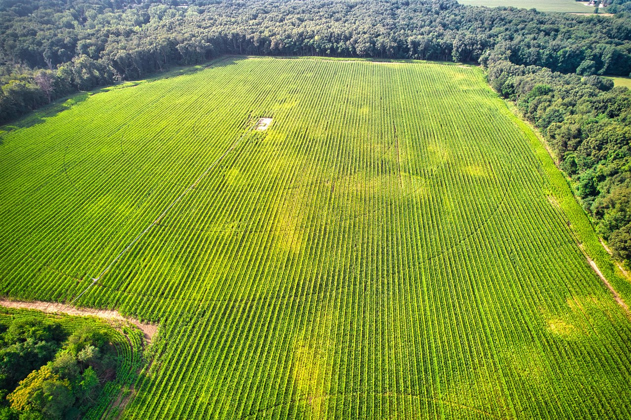 0 Lake Street, Niles, MI, 49120