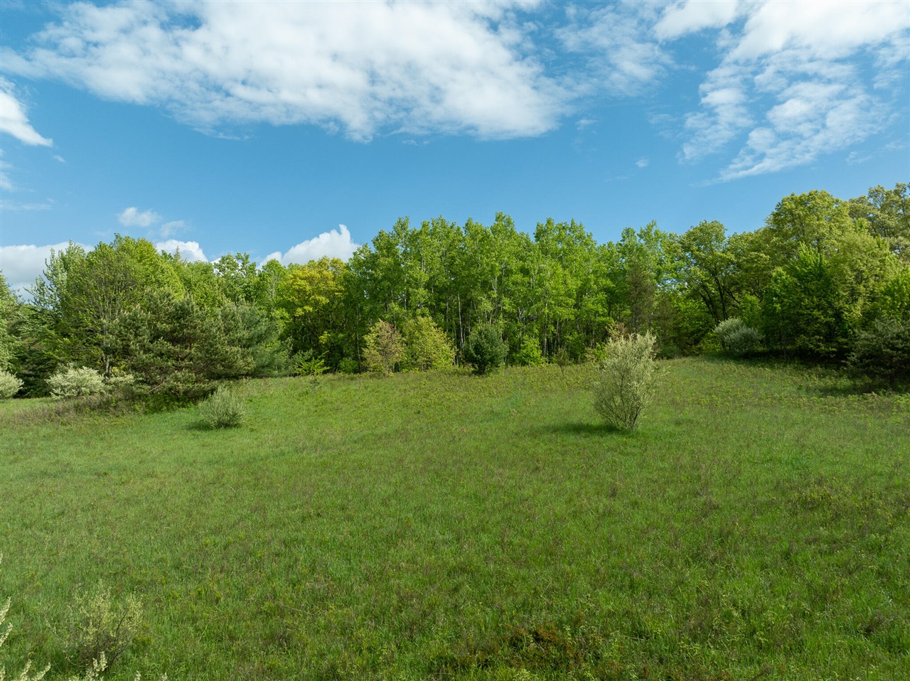 80 E 24th Street, Reed City, MI, 49677