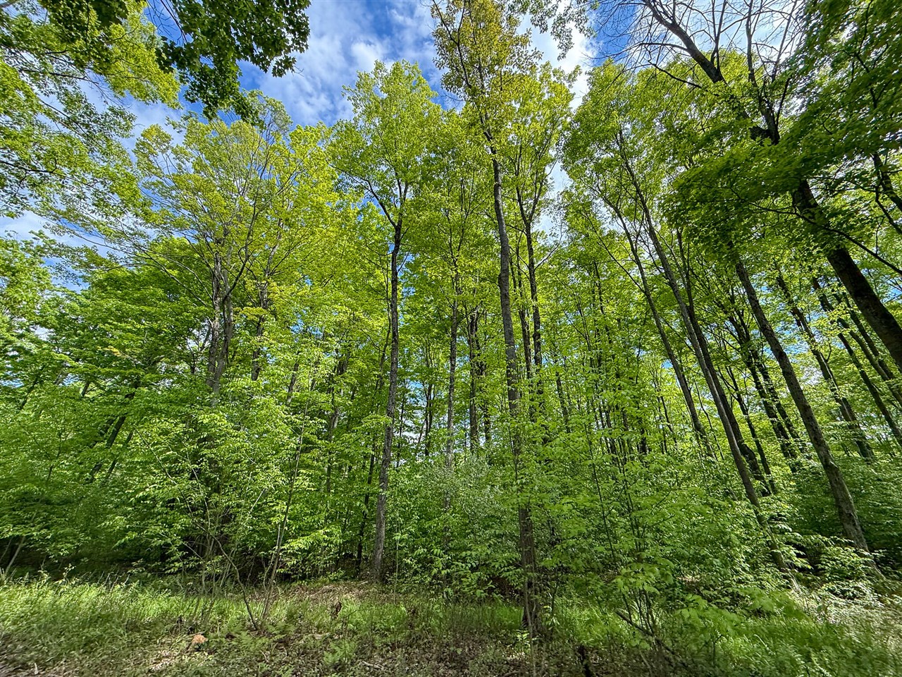 80 E 24th Street, Reed City, MI, 49677