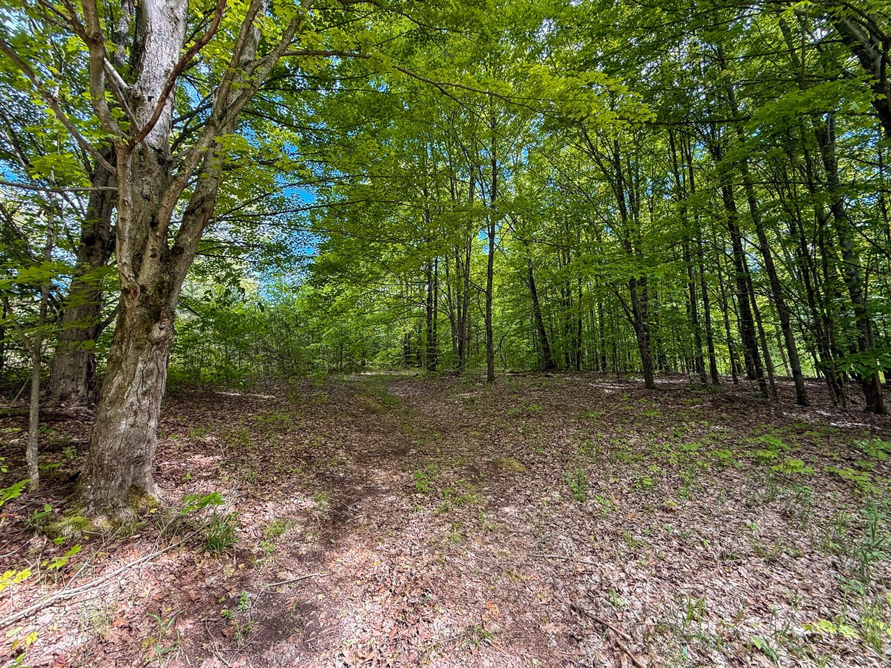 80 E 24th Street, Reed City, MI, 49677