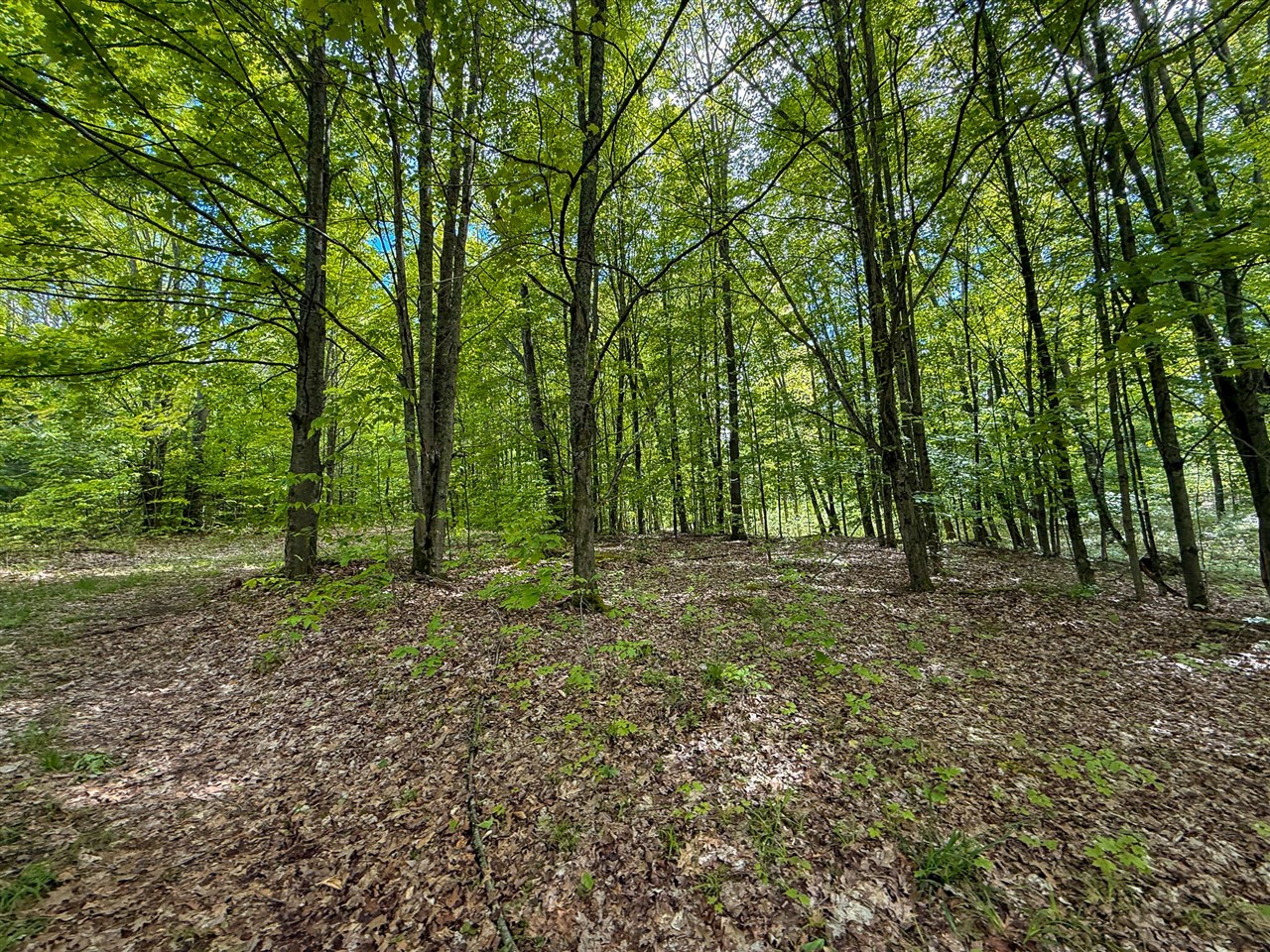 80 E 24th Street, Reed City, MI, 49677