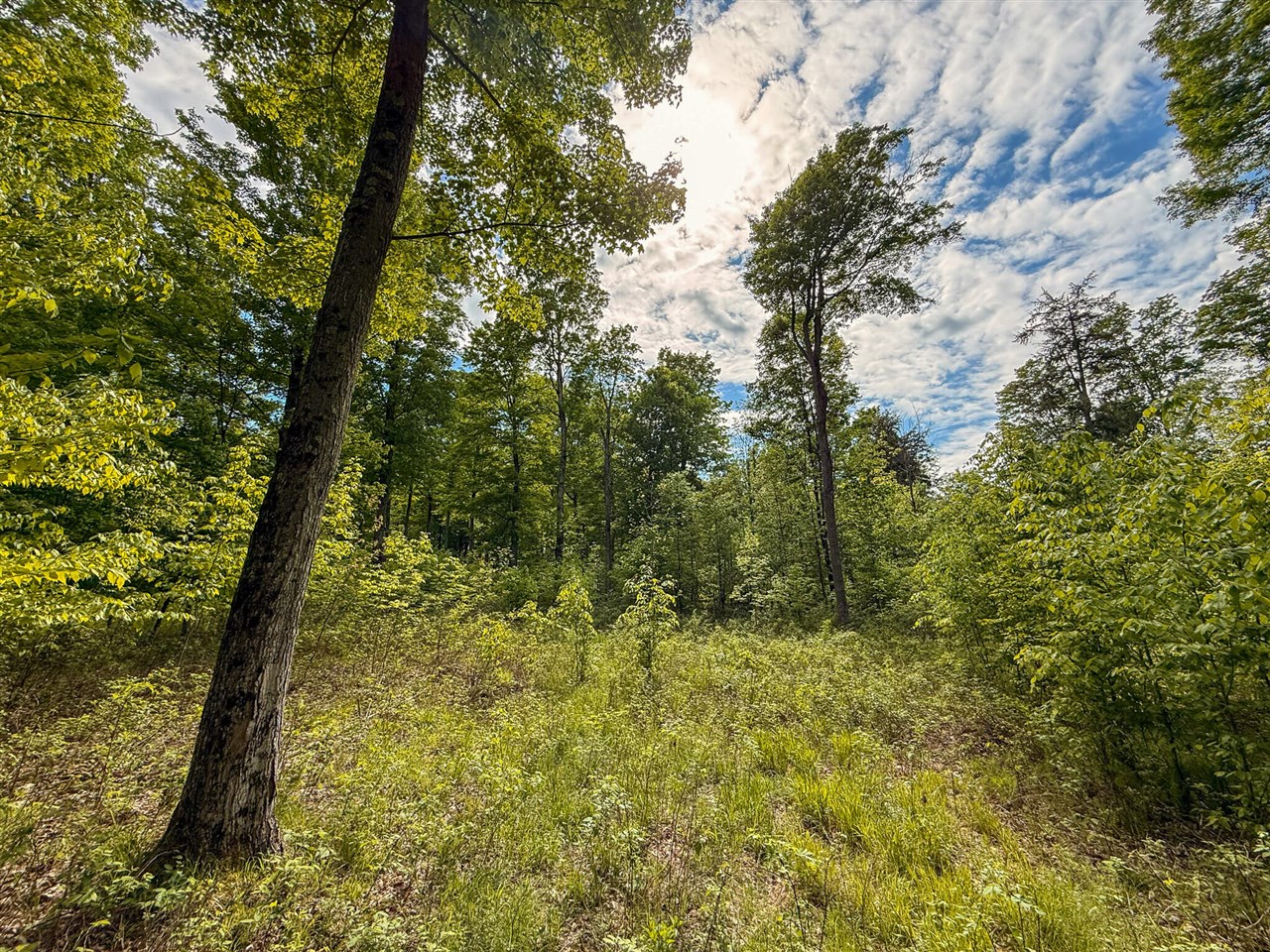 80 E 24th Street, Reed City, MI, 49677