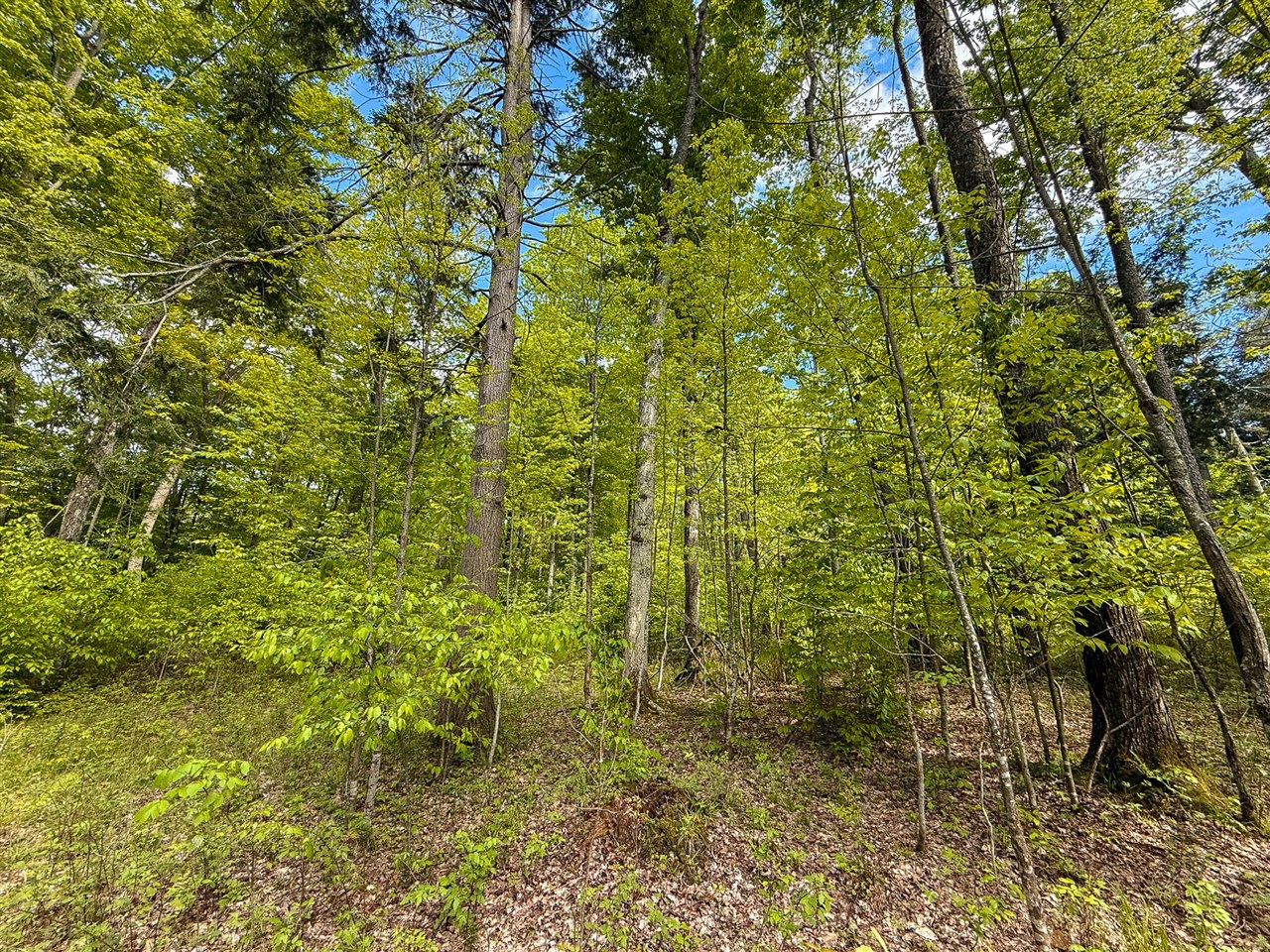 80 E 24th Street, Reed City, MI, 49677