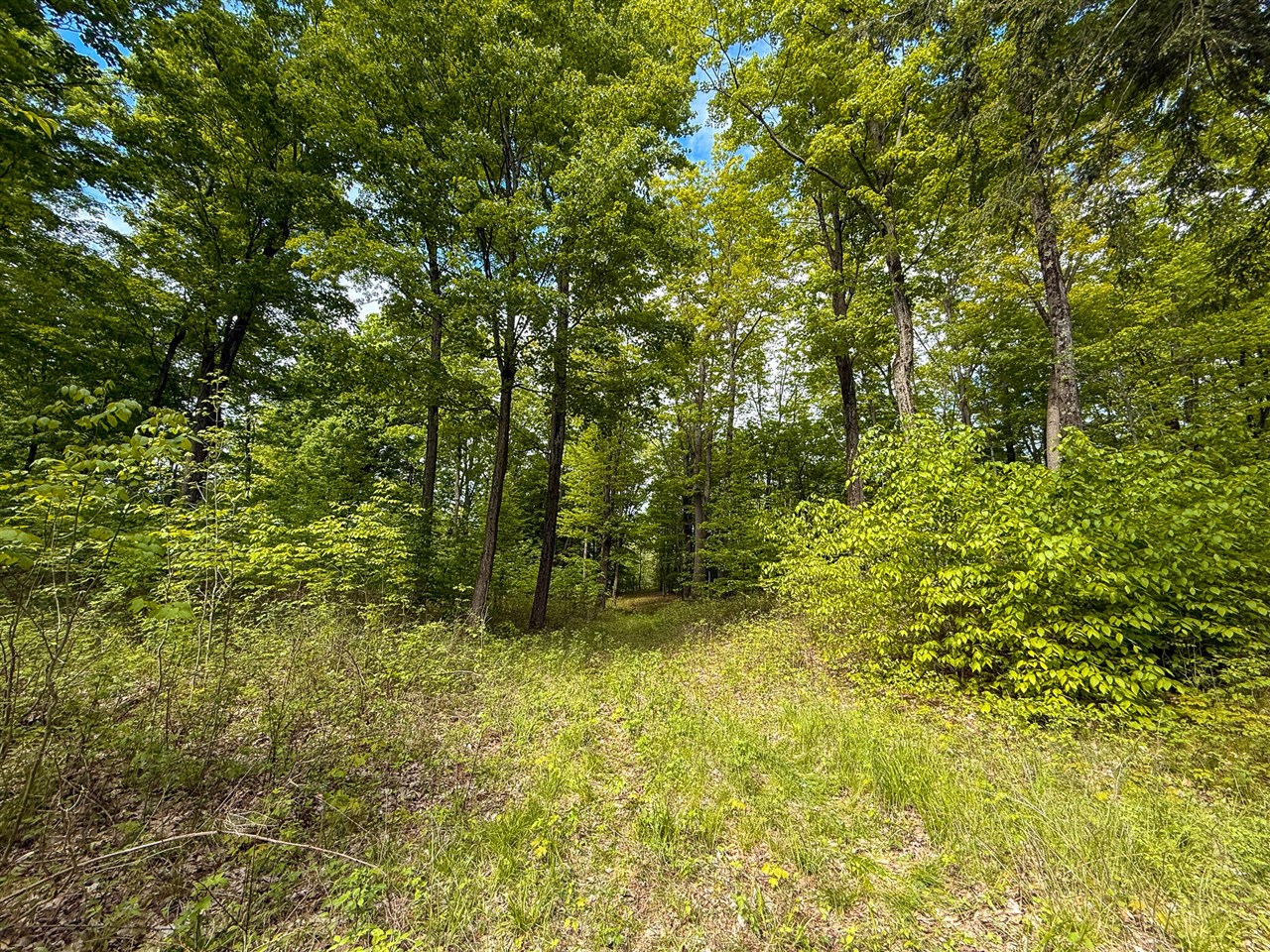 80 E 24th Street, Reed City, MI, 49677