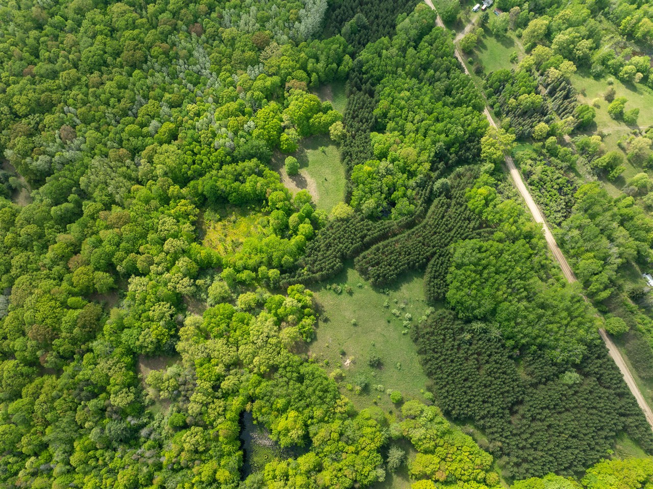 80 E 24th Street, Reed City, MI, 49677