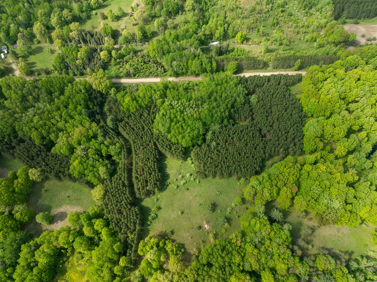 80 E 24th Street, Reed City, MI, 49677