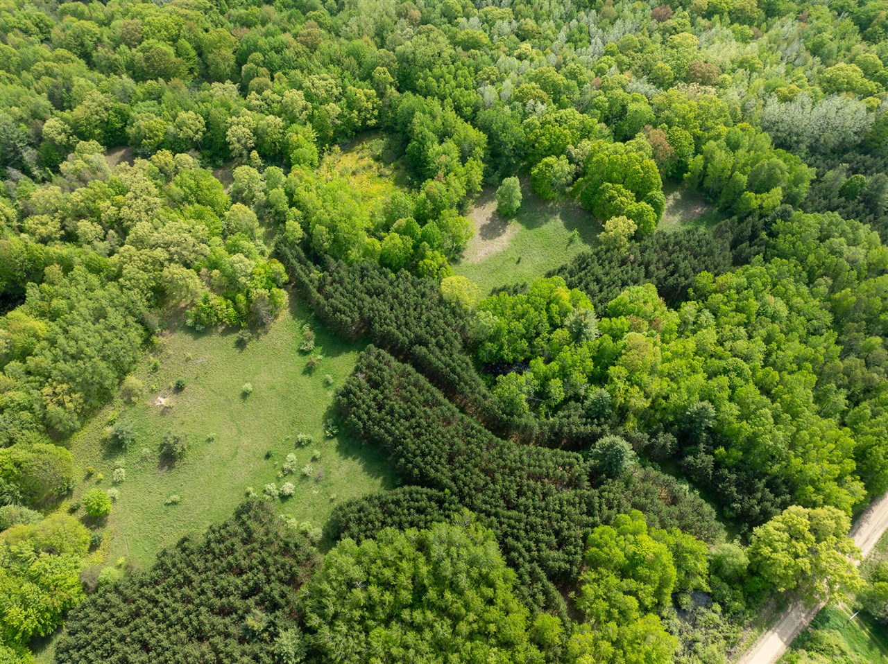 80 E 24th Street, Reed City, MI, 49677