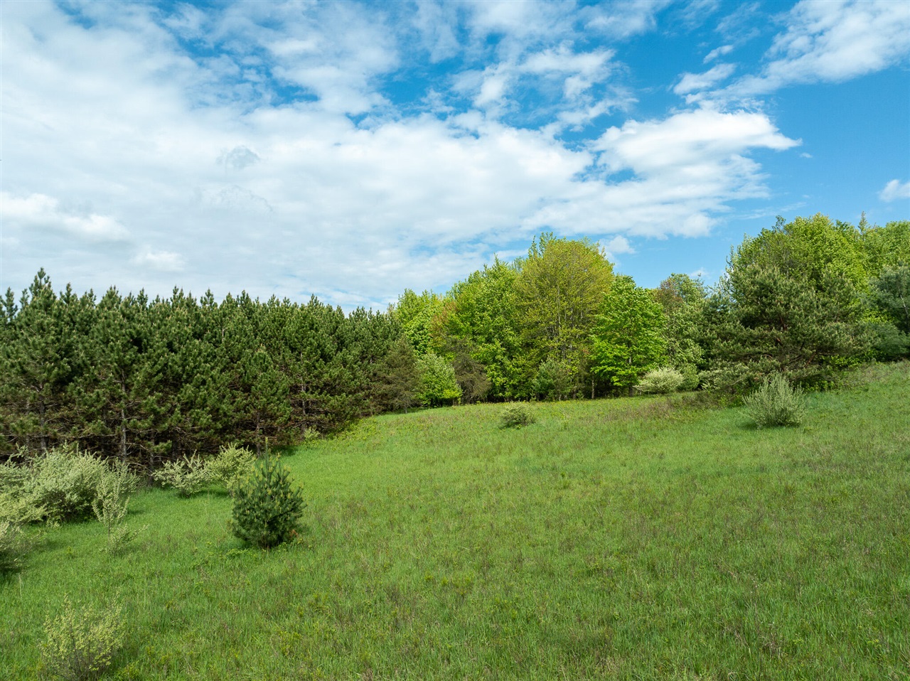 80 E 24th Street, Reed City, MI, 49677