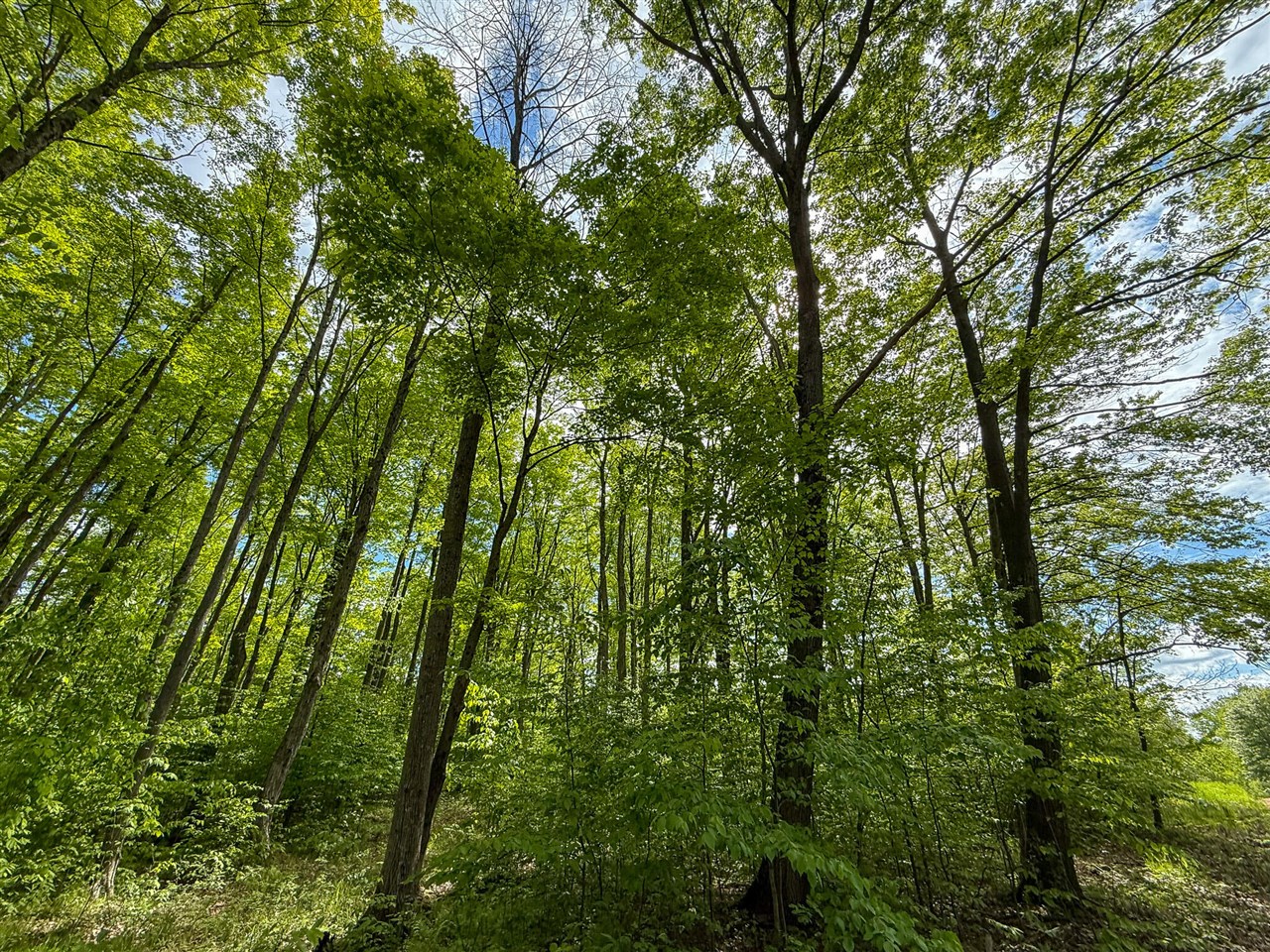 80 E 24th Street, Reed City, MI, 49677