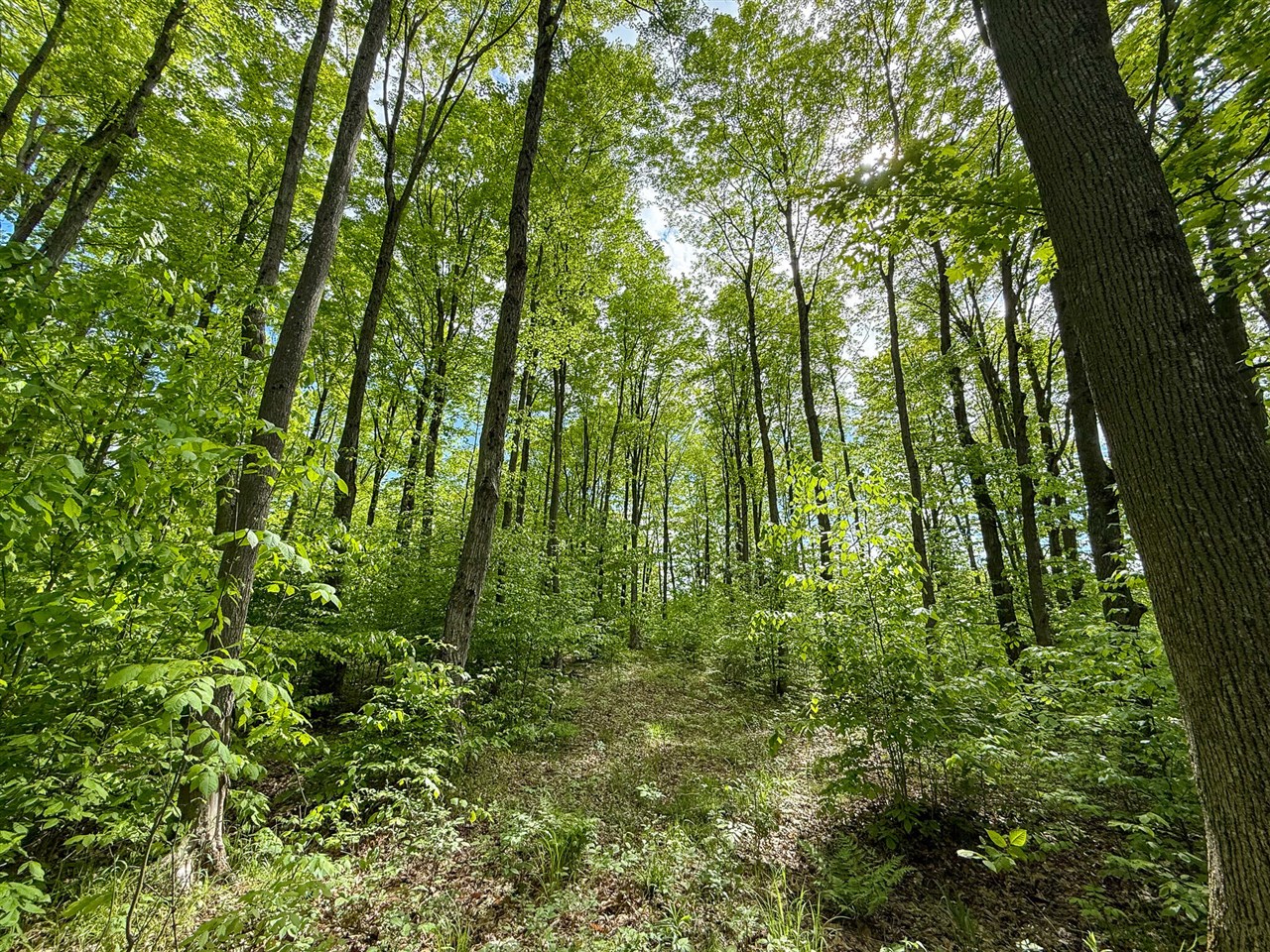 80 E 24th Street, Reed City, MI, 49677