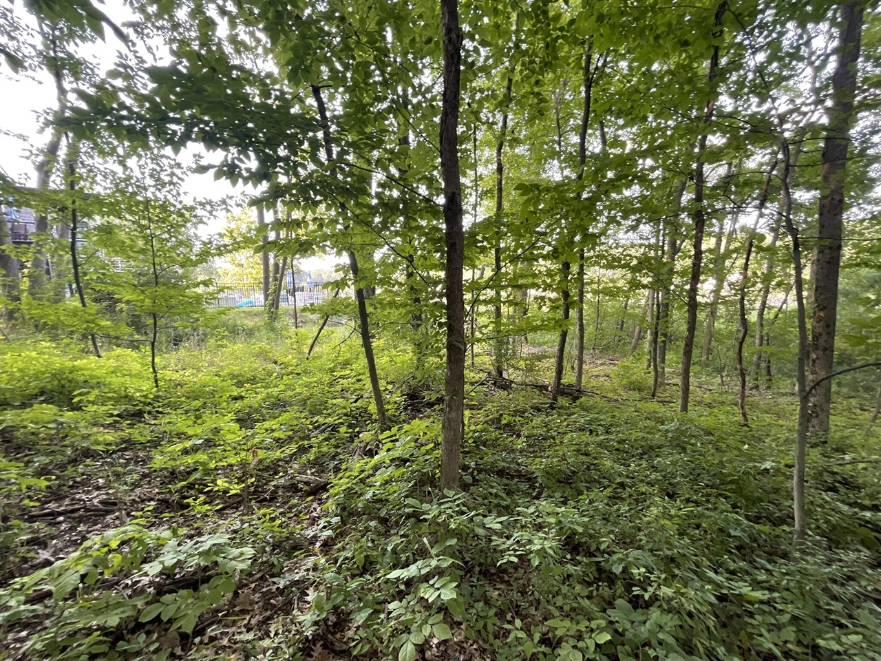 12543 Woodland Park Drive photo 16