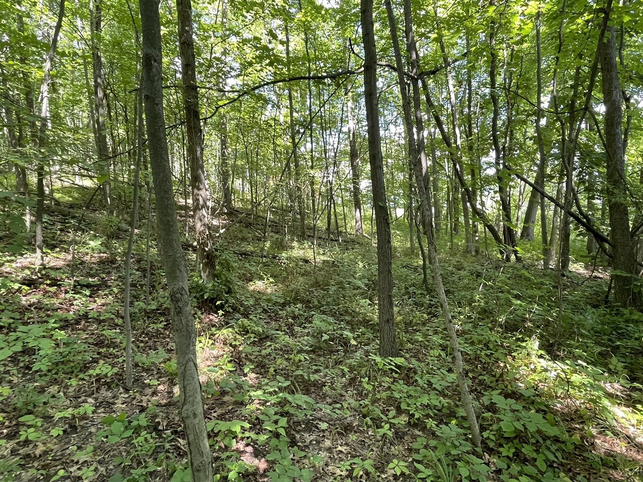 12543 Woodland Park Drive photo 17