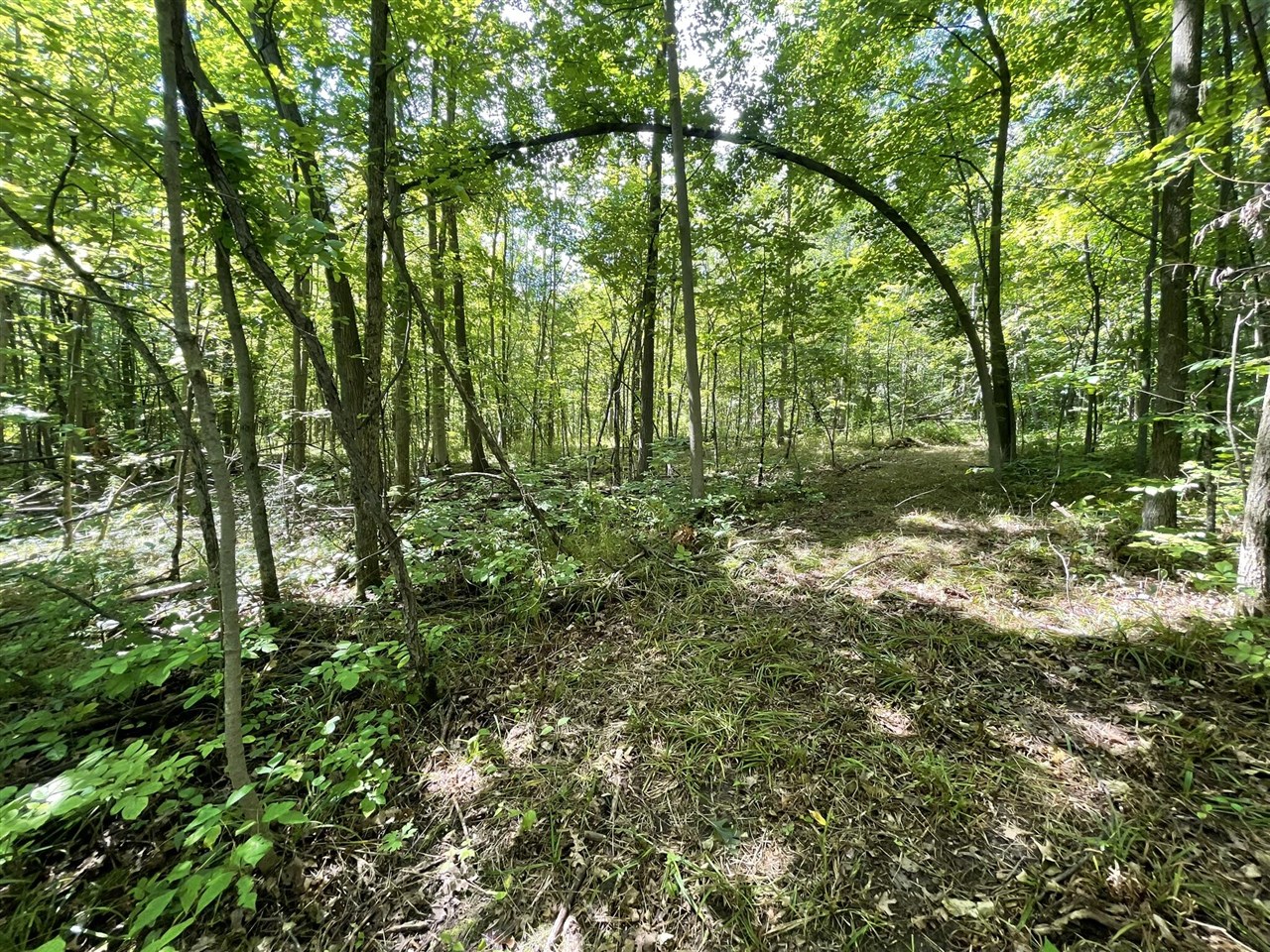12543 Woodland Park Drive photo 19