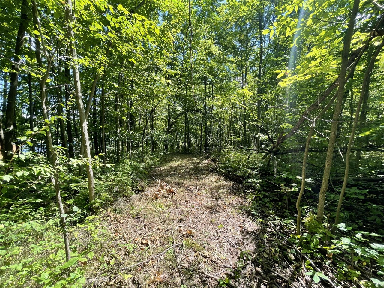 Homes for sale in Belding, MI | 12543 Woodland Park Dr, Belding, MI 48809 | MLS# 70486893