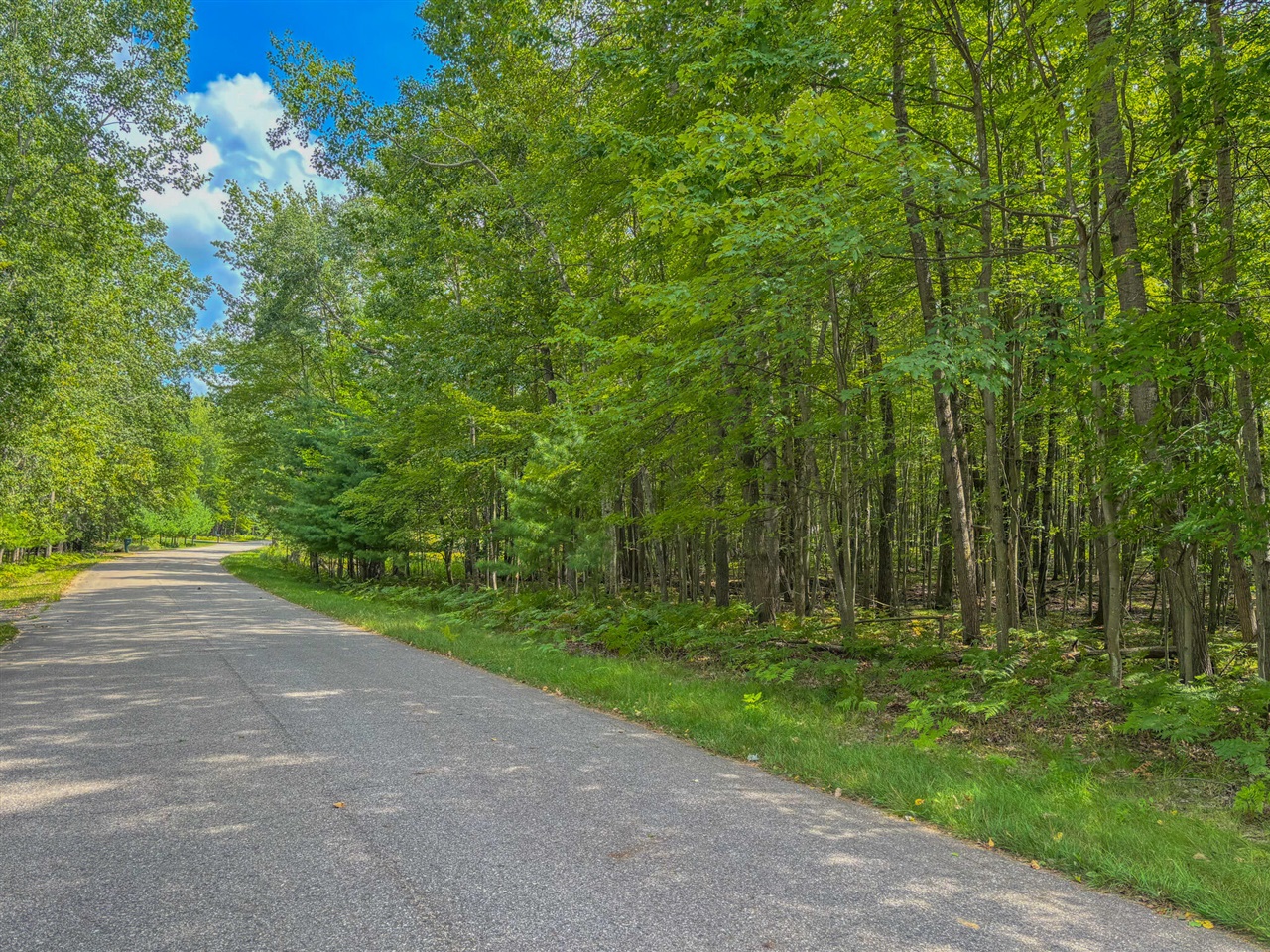 2nd image of 9385 Clubhouse Dr, Stanwood, MI 49346 | MLS# 70487181