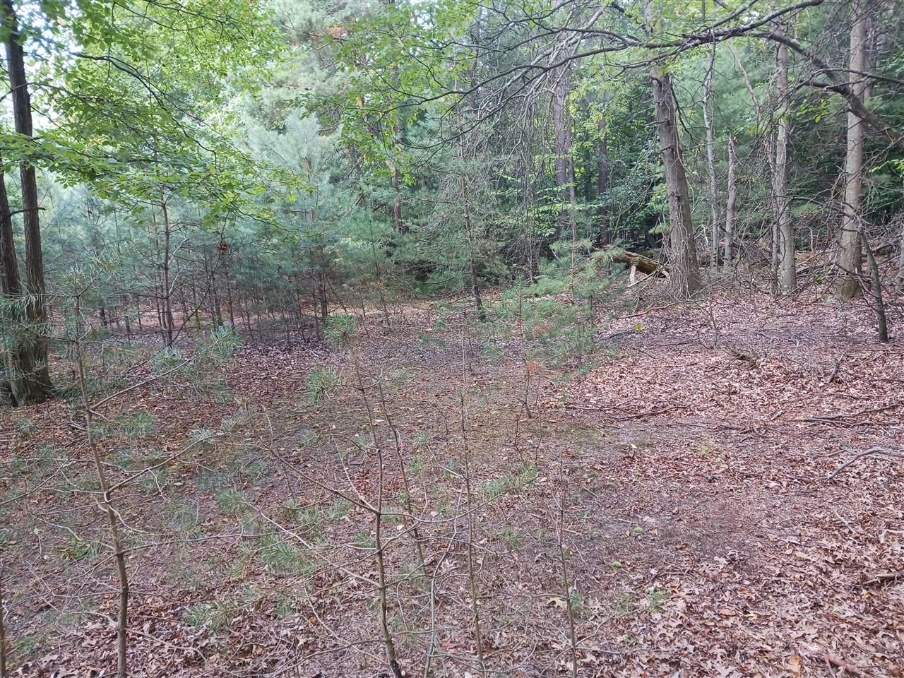 12323 Lincoln Farms Drive photo 16