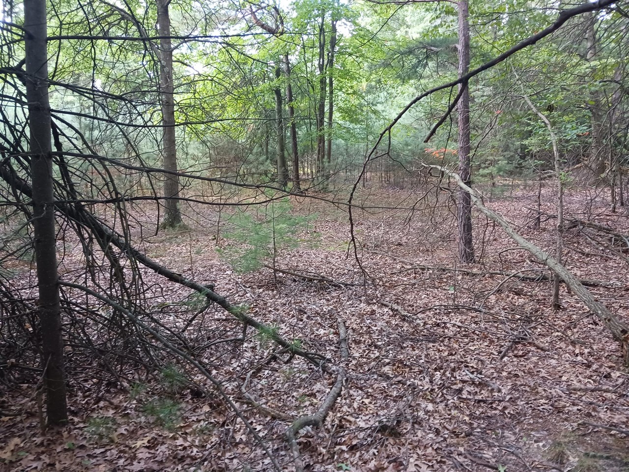 12323 Lincoln Farms Drive photo 17