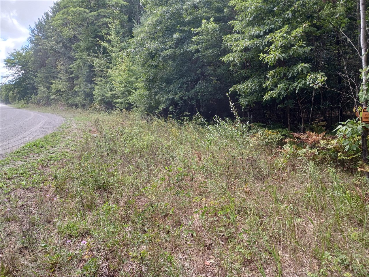 12323 Lincoln Farms Drive photo 3