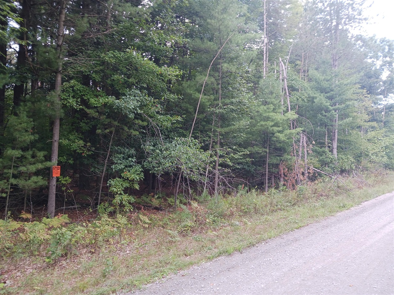 12323 Lincoln Farms Drive photo 5