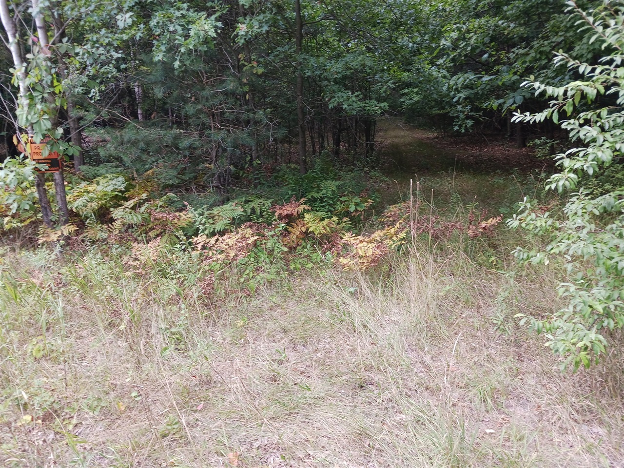 12323 Lincoln Farms Drive photo 6