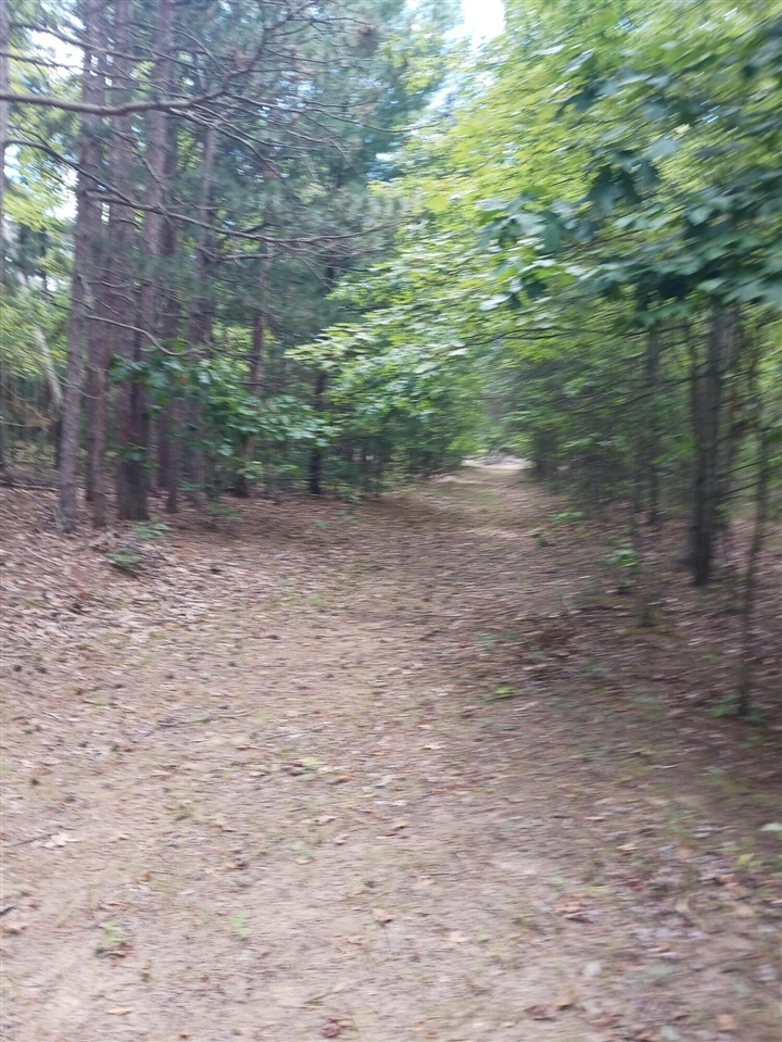 12323 Lincoln Farms Drive photo 10