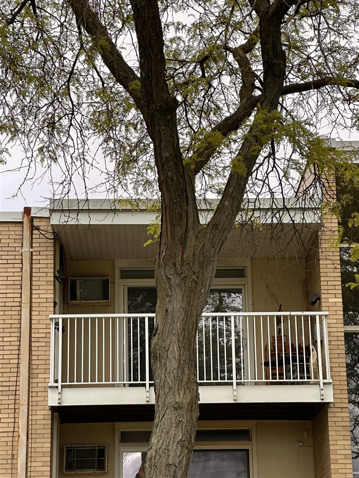 Homes for sale in Royal Oak, MI | 4921 N Crooks Rd #N-10, Royal Oak, MI 48073 | MLS# 70491355