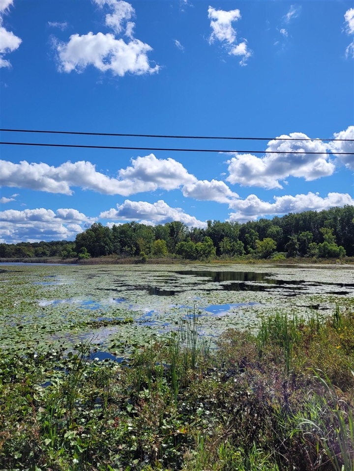 5th image of 0 Us 12 W, Buchanan, MI 49107 | MLS# 70492361