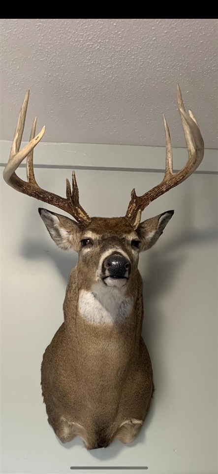 3041 Elk Antler Avenue, Plainwell, MI, 49080-8817