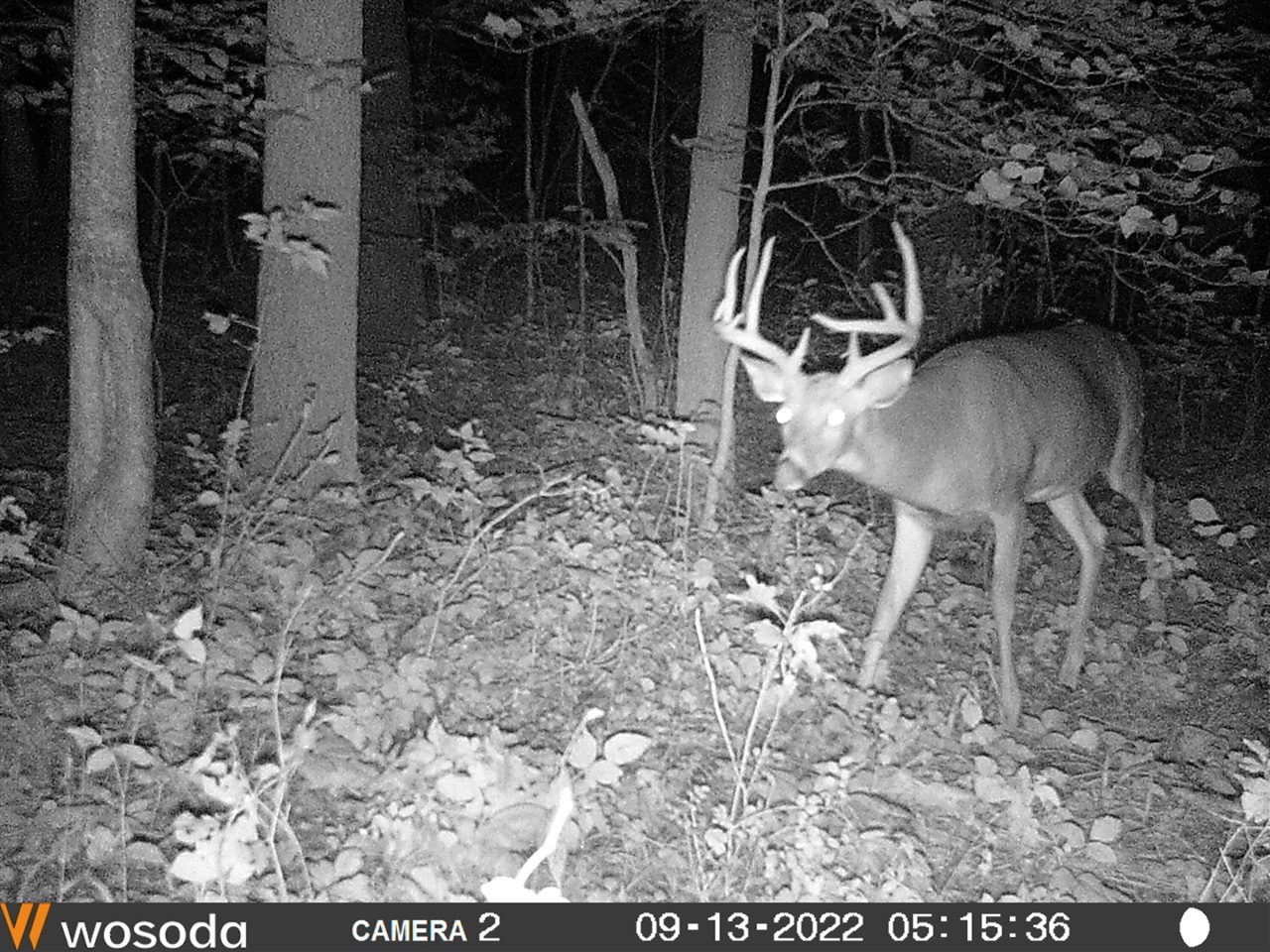 3041 Elk Antler Avenue, Plainwell, MI, 49080-8817