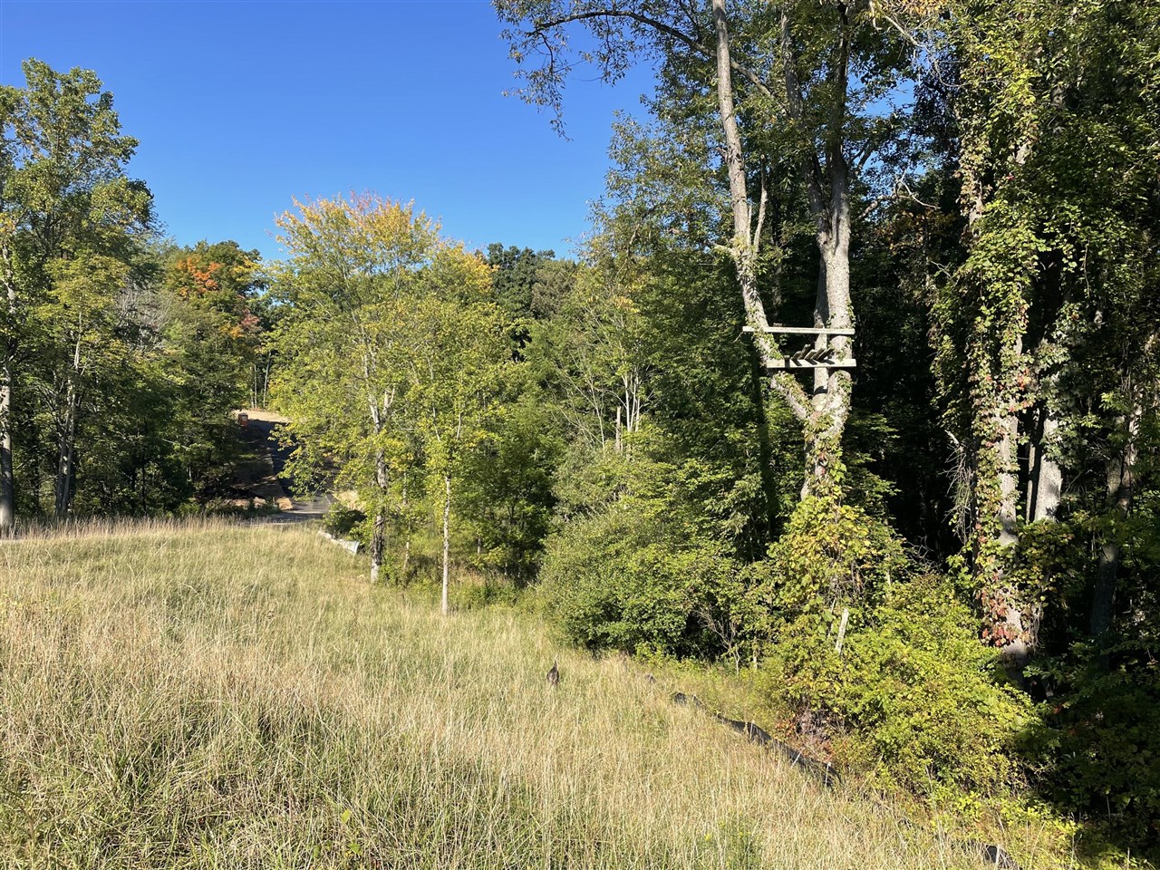 3041 Elk Antler Avenue, Plainwell, MI, 49080-8817