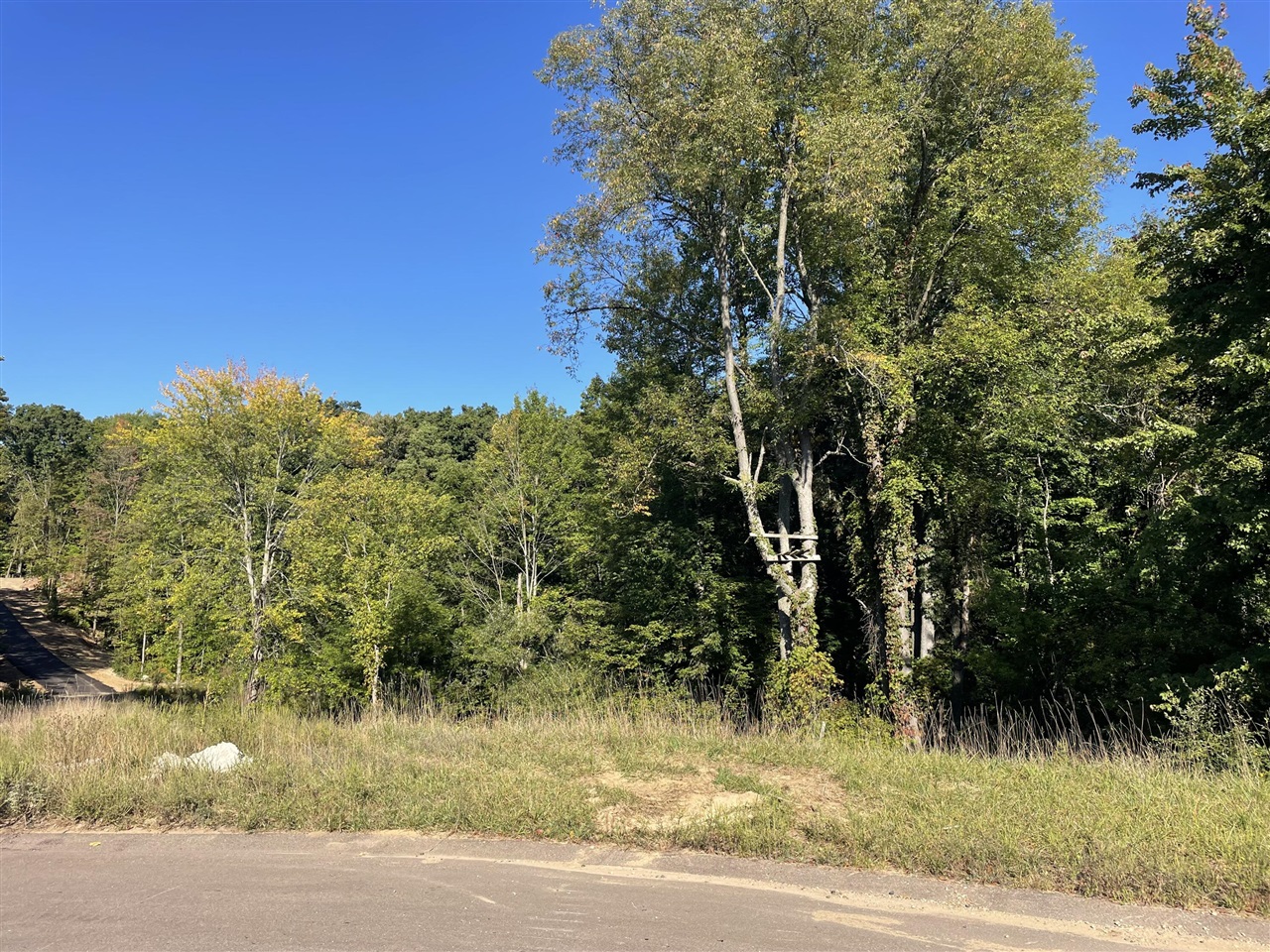 3041 Elk Antler Avenue, Plainwell, MI, 49080-8817