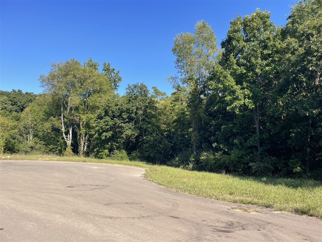 3041 Elk Antler Avenue, Plainwell, MI, 49080-8817
