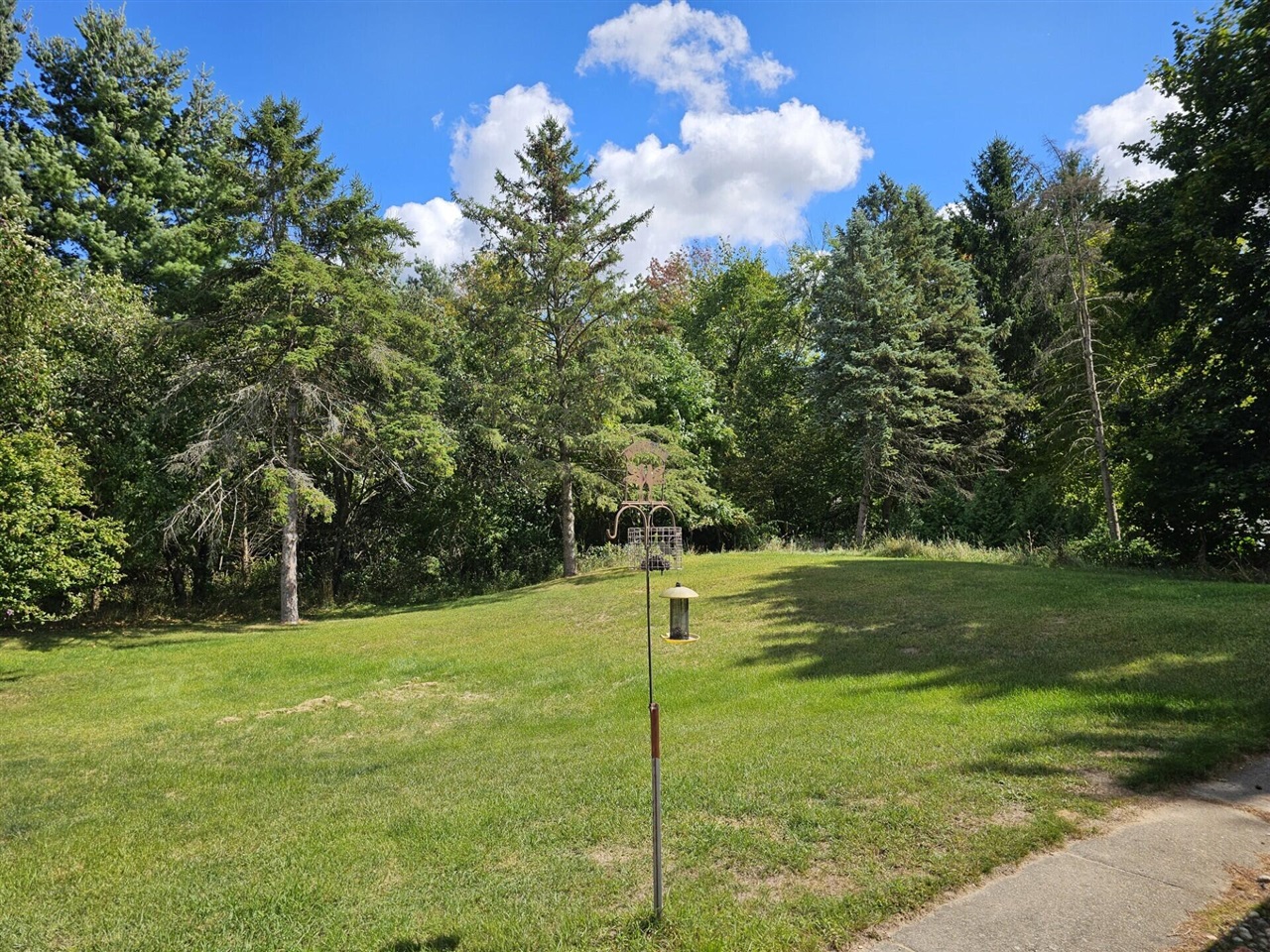 4872 Lester Avenue, Fremont, MI, 49412