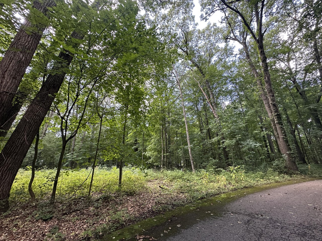 4540 Ross Drive photo 4