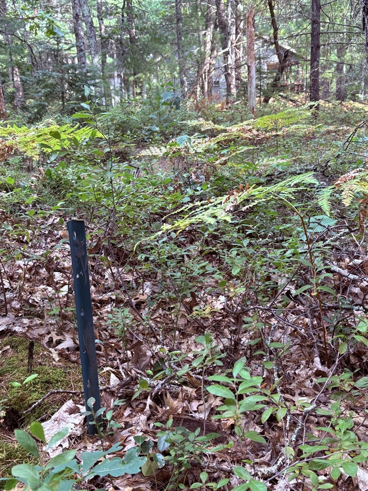 00 S Shady Grove Drive, Baldwin, MI, 49304