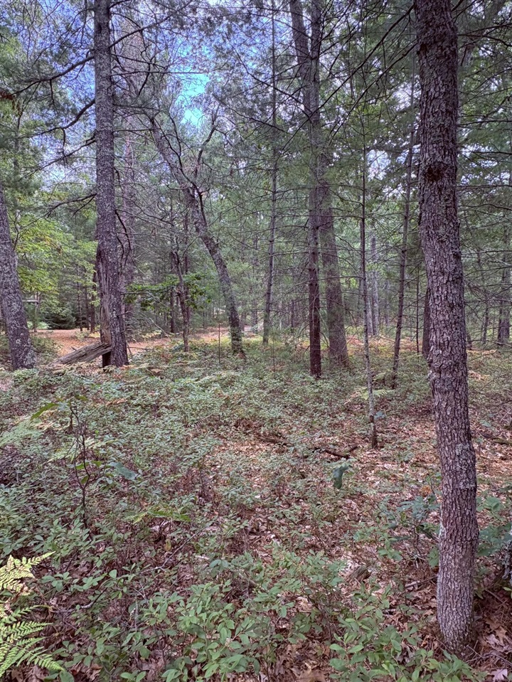 00 S Shady Grove Drive, Baldwin, MI, 49304