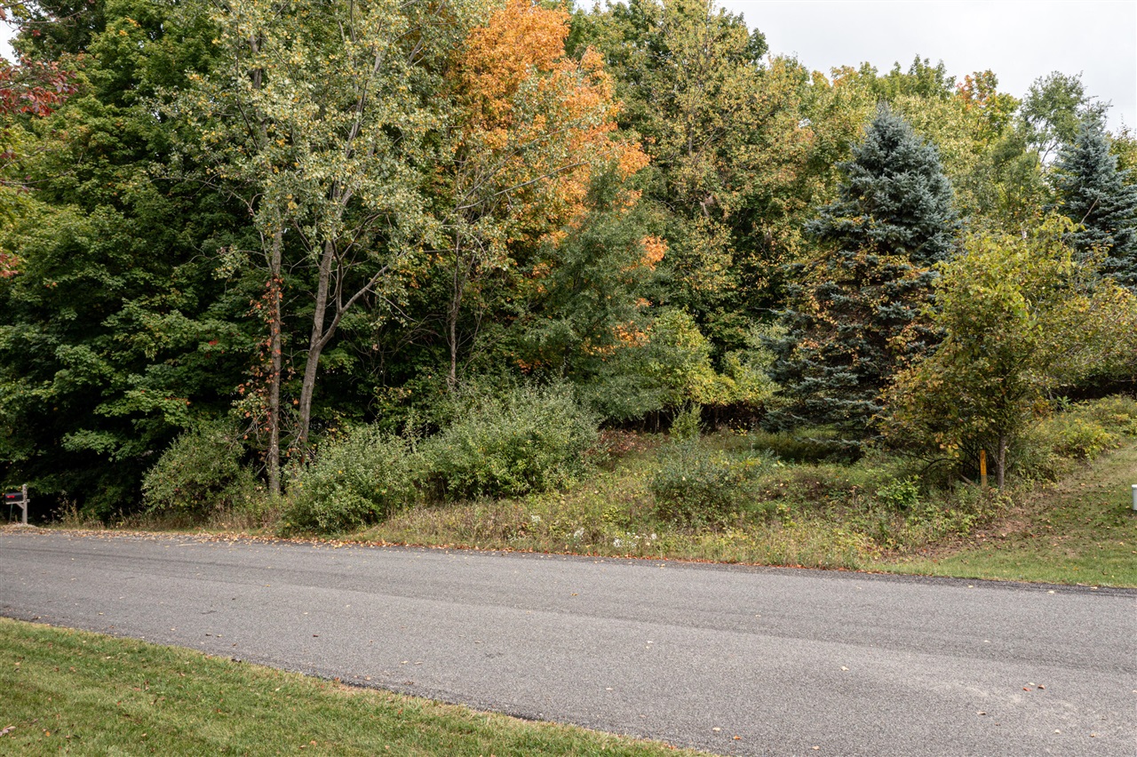 Lot UNIT&nbsp;7 N Hill N Dale, Hart, MI, 49420