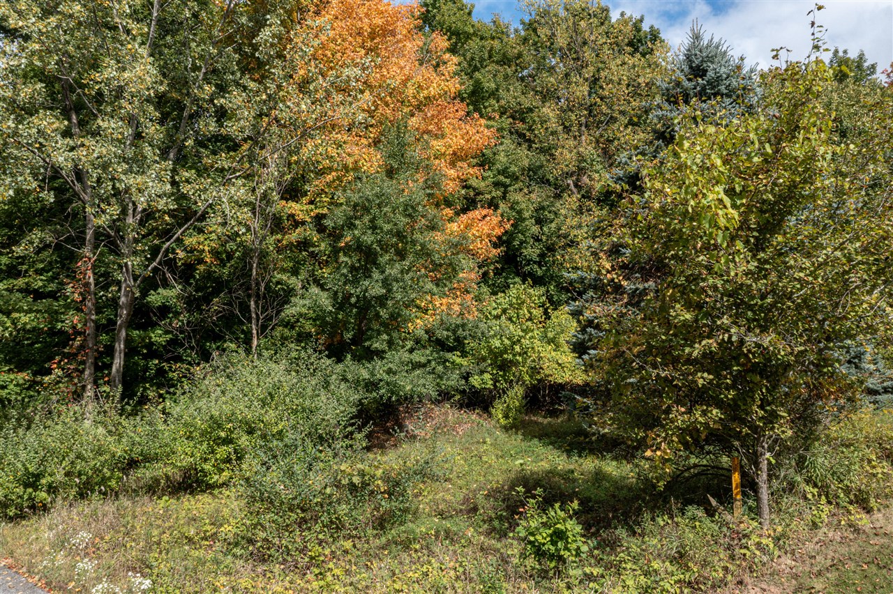 Lot UNIT&nbsp;7 N Hill N Dale, Hart, MI, 49420