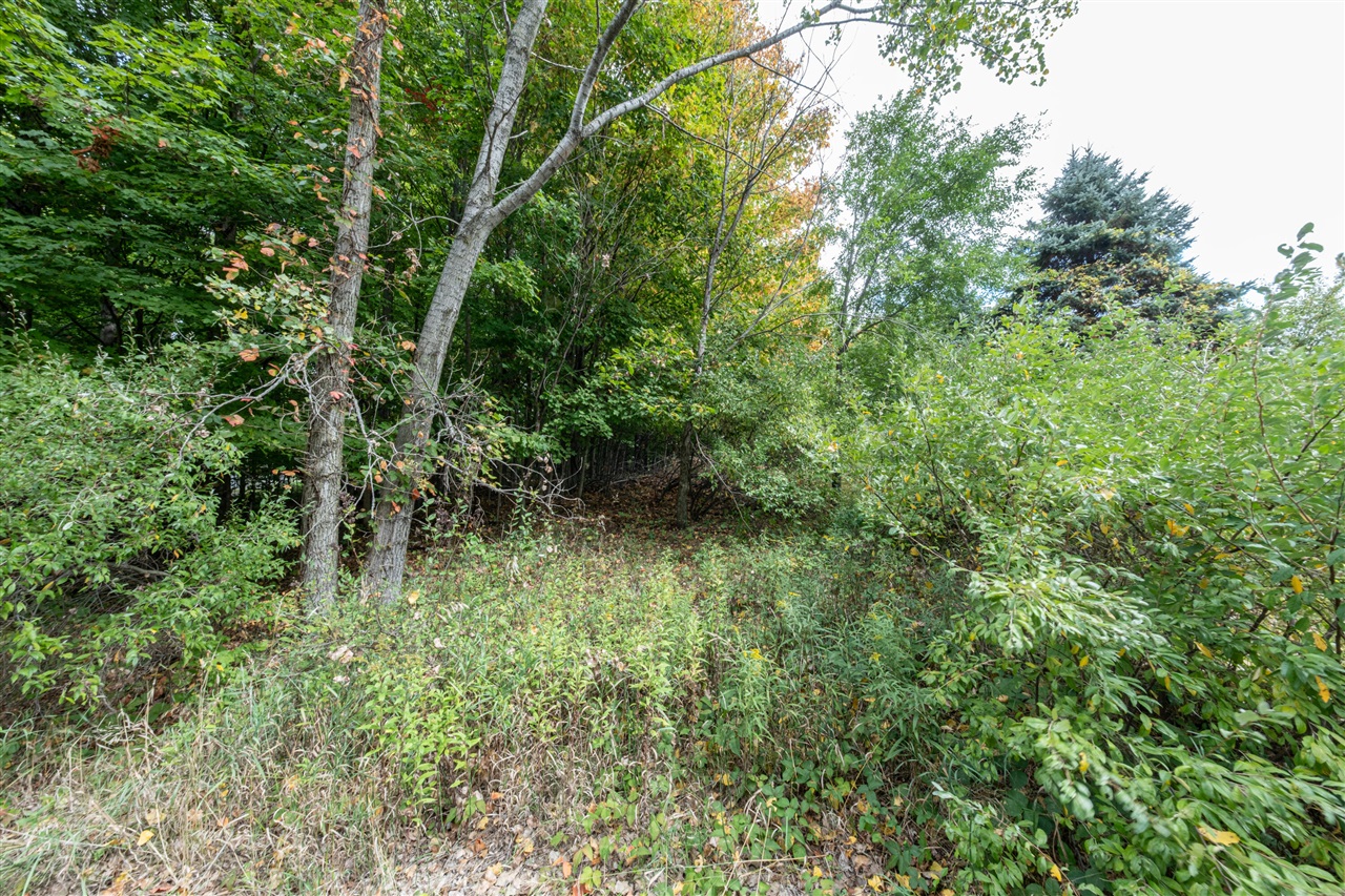 Lot UNIT&nbsp;7 N Hill N Dale, Hart, MI, 49420