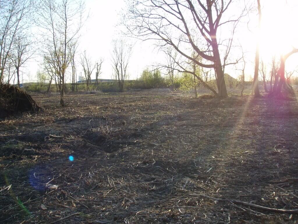 1794 Lakeshore Drive photo 22