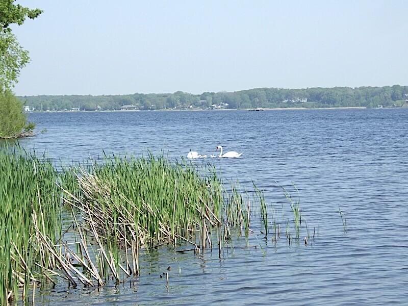 1794 Lakeshore Drive photo 23