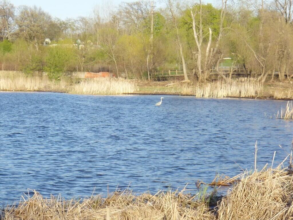 1794 Lakeshore Drive photo 25