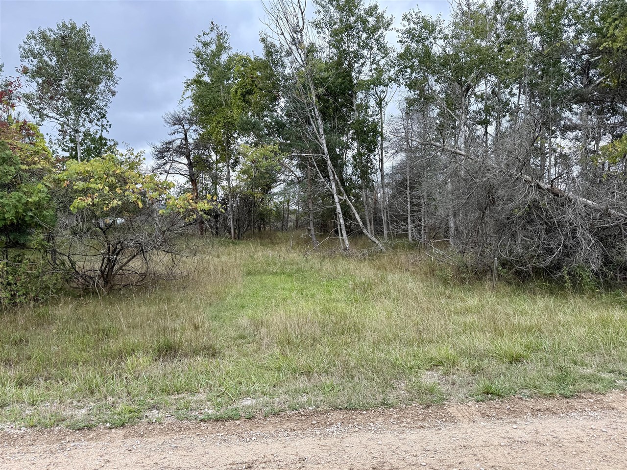 Homes for sale in Onekama, MI | 1 Greenway, Onekama, MI 49675 | MLS# 70496394