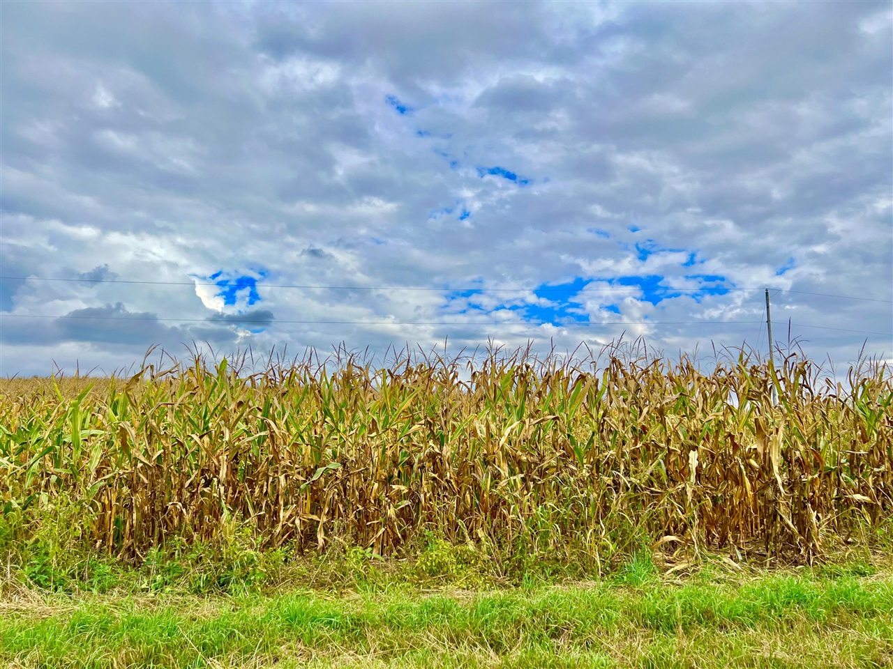 10000 M50 Road, Onsted, MI, 49265