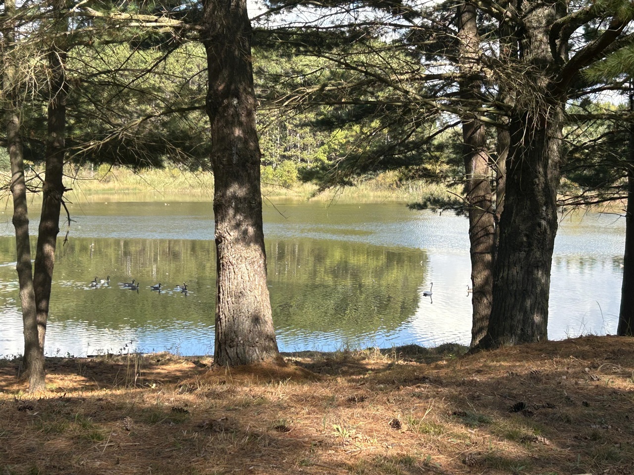 6878 Bantry Bay, Canadian Lakes, MI, 49346