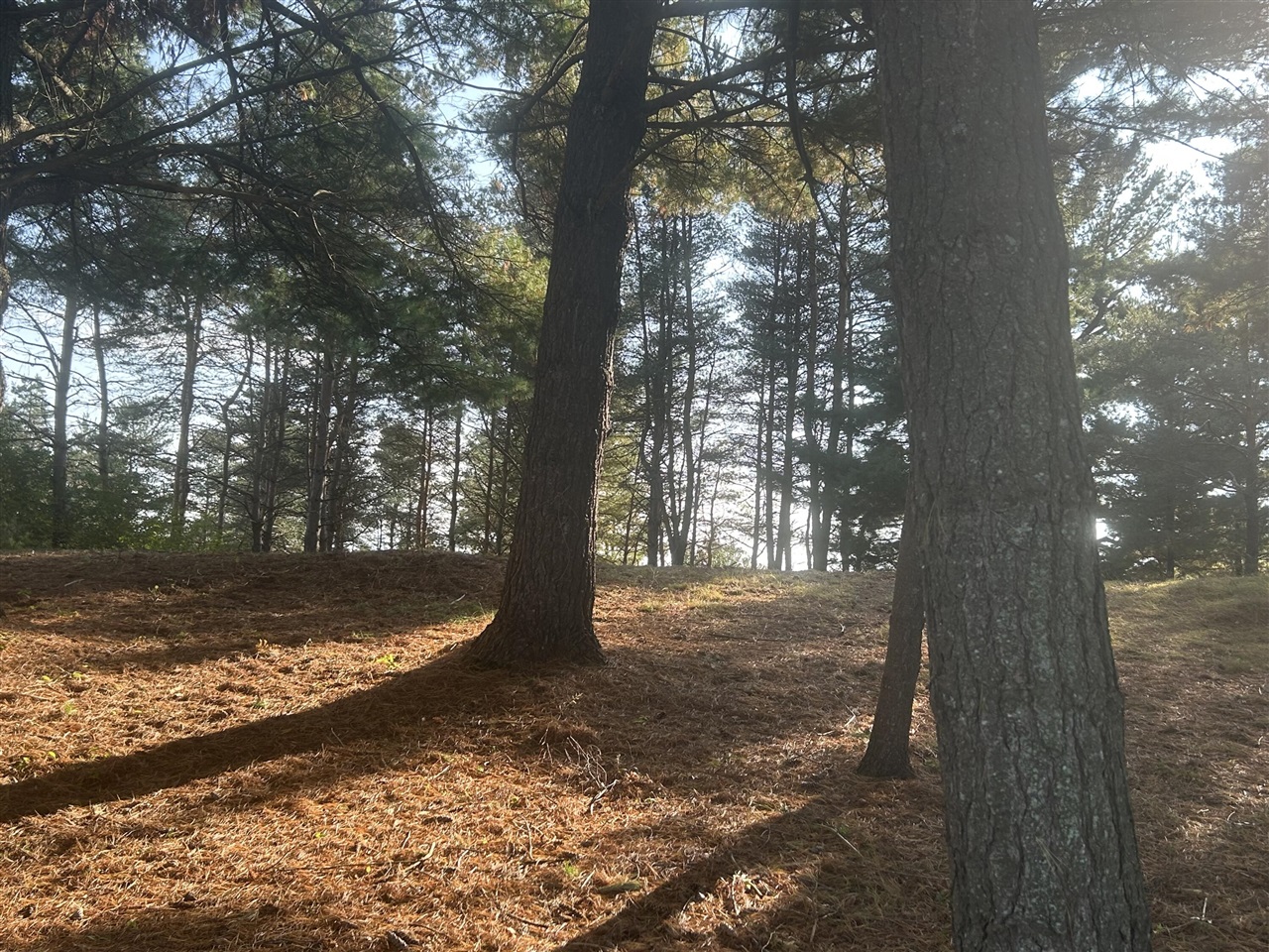 6878 Bantry Bay, Canadian Lakes, MI, 49346