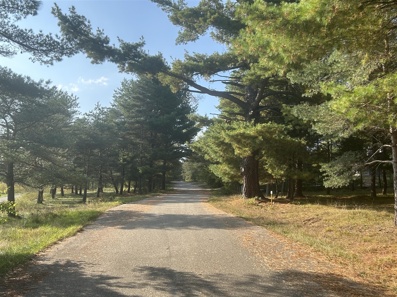 6878 Bantry Bay, Canadian Lakes, MI, 49346