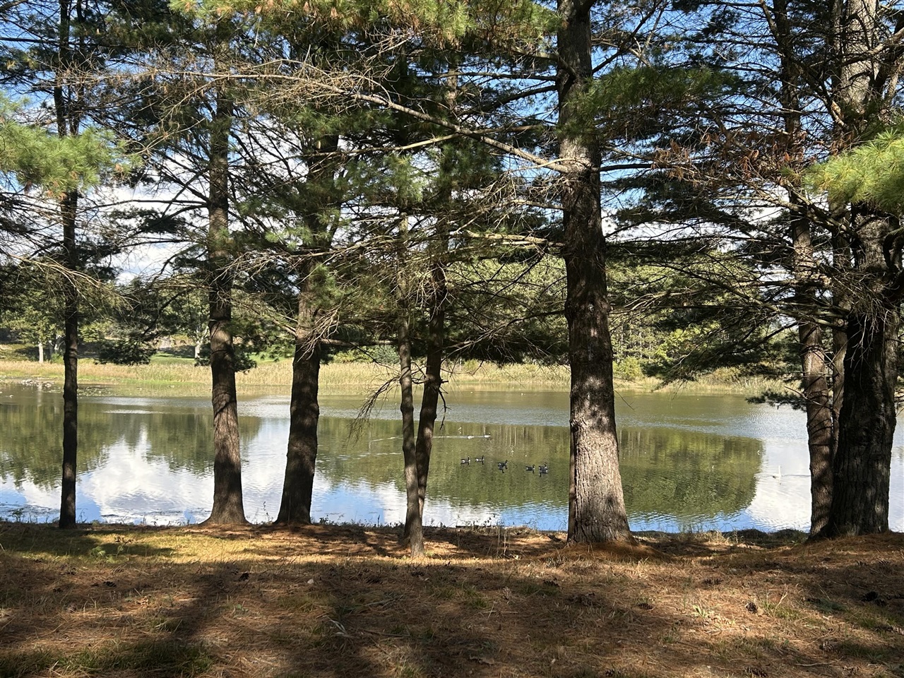 6878 Bantry Bay, Canadian Lakes, MI, 49346
