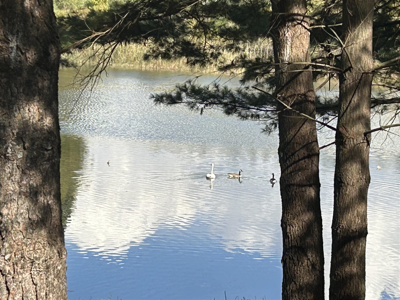 6878 Bantry Bay, Canadian Lakes, MI, 49346